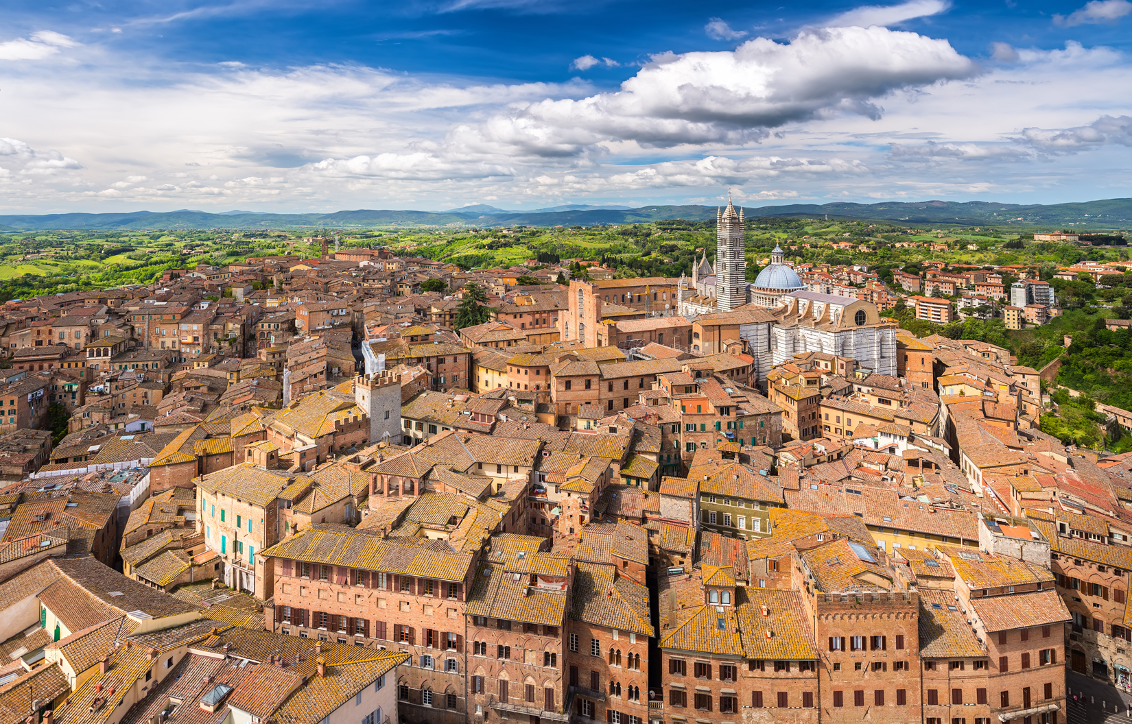 siena