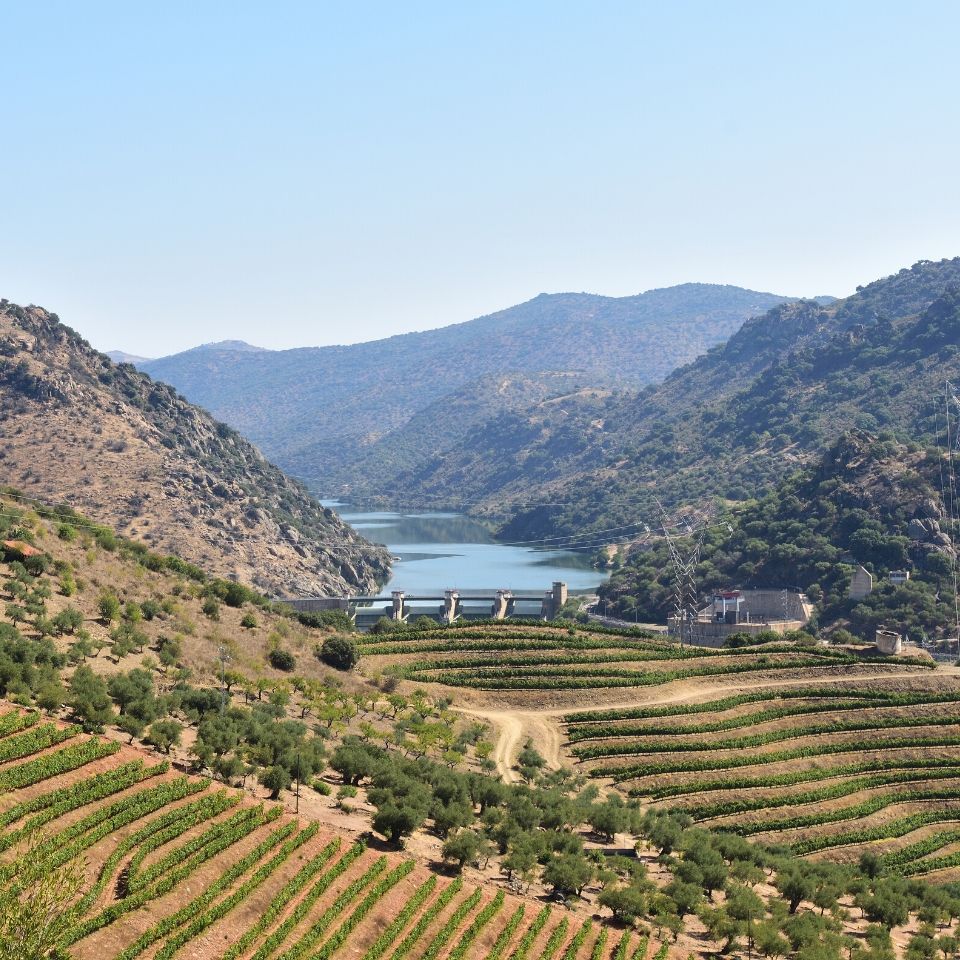 Vale do Douro